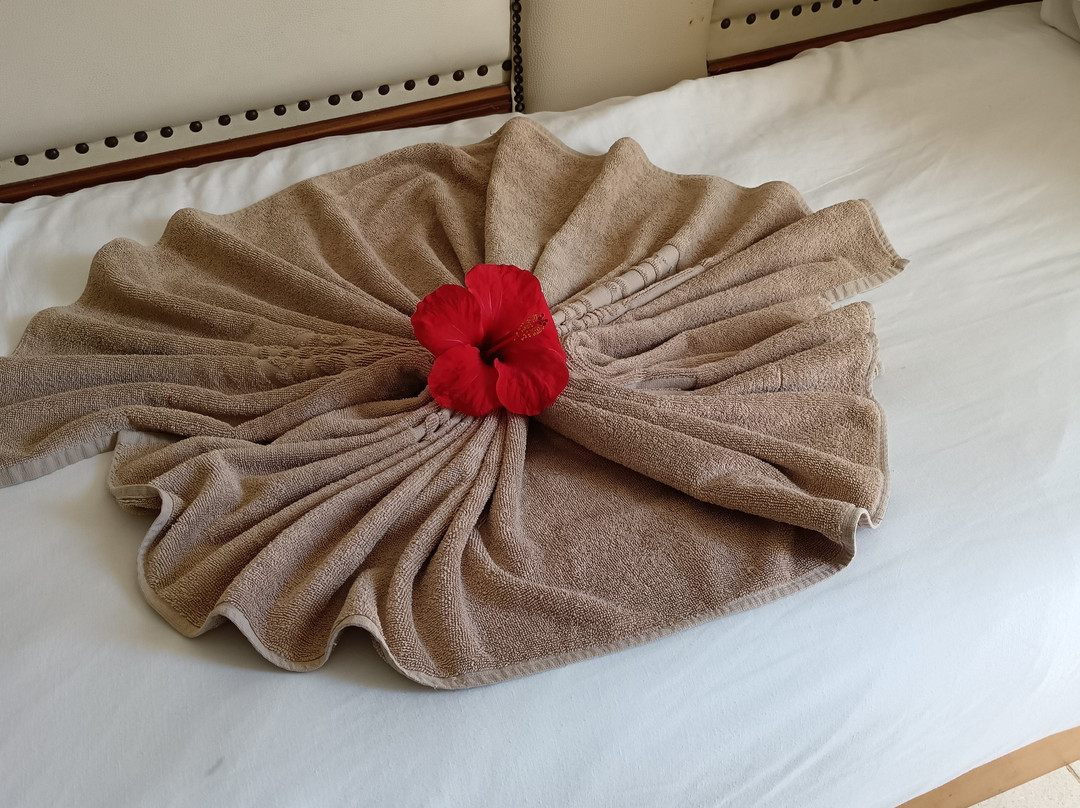 Télémaque Beach & Spa主图