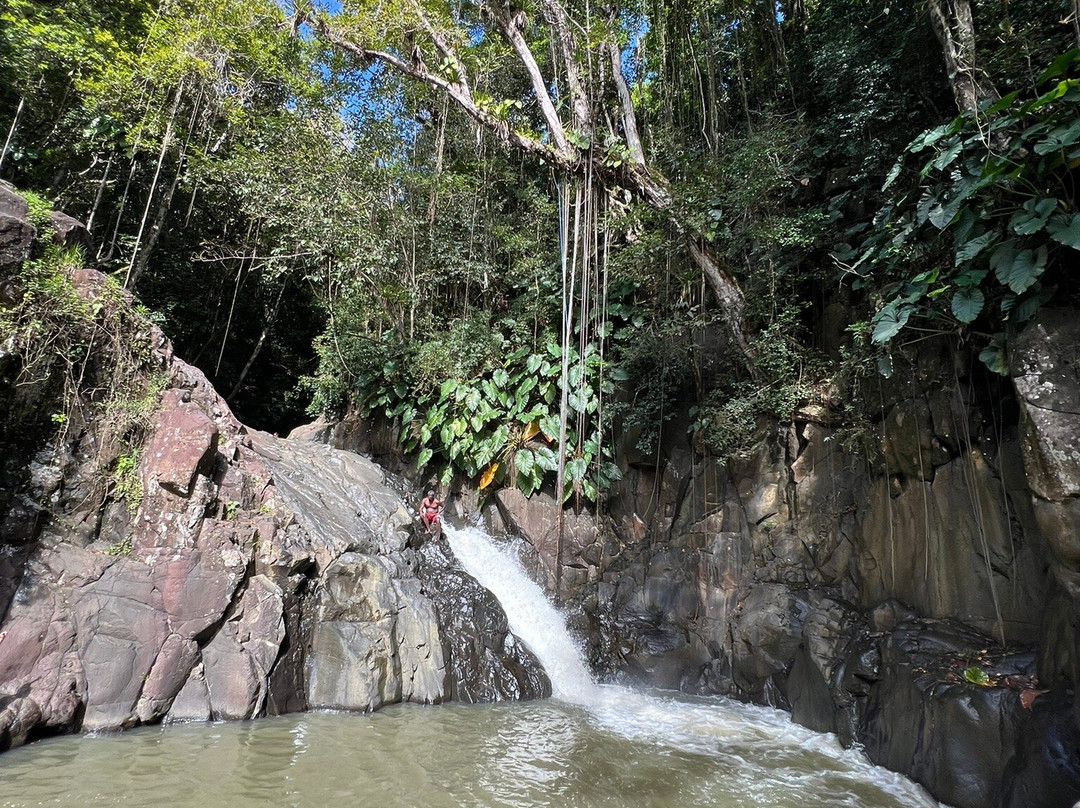 Cascade Le Saut de L'Acomat-Pointe-Noire必去景点