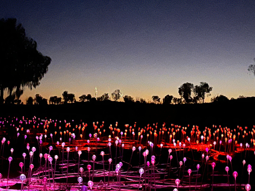 Field of Light-乌鲁鲁-卡塔丘塔国家公园必去景点