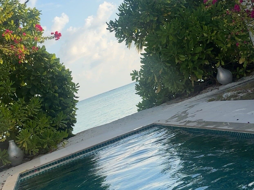 阳光岛别墅公园主图