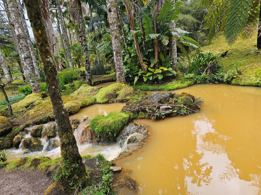 Parque Terra Nostra-富尔纳斯必去景点