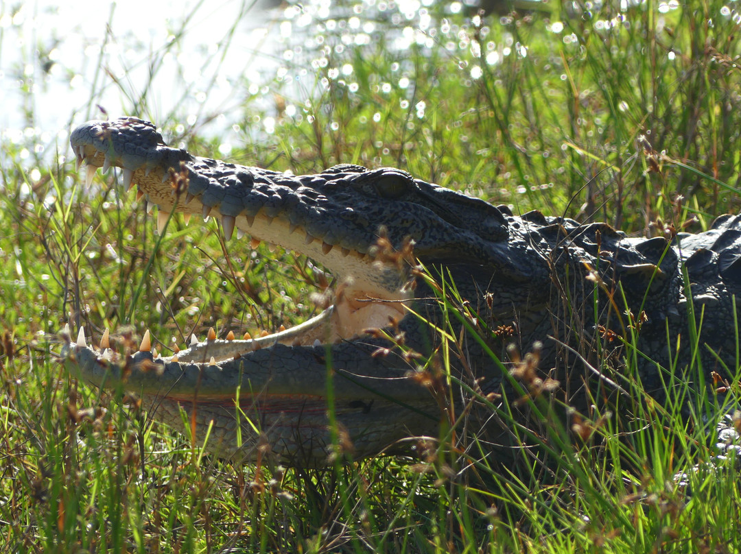 锡兰度假村主图