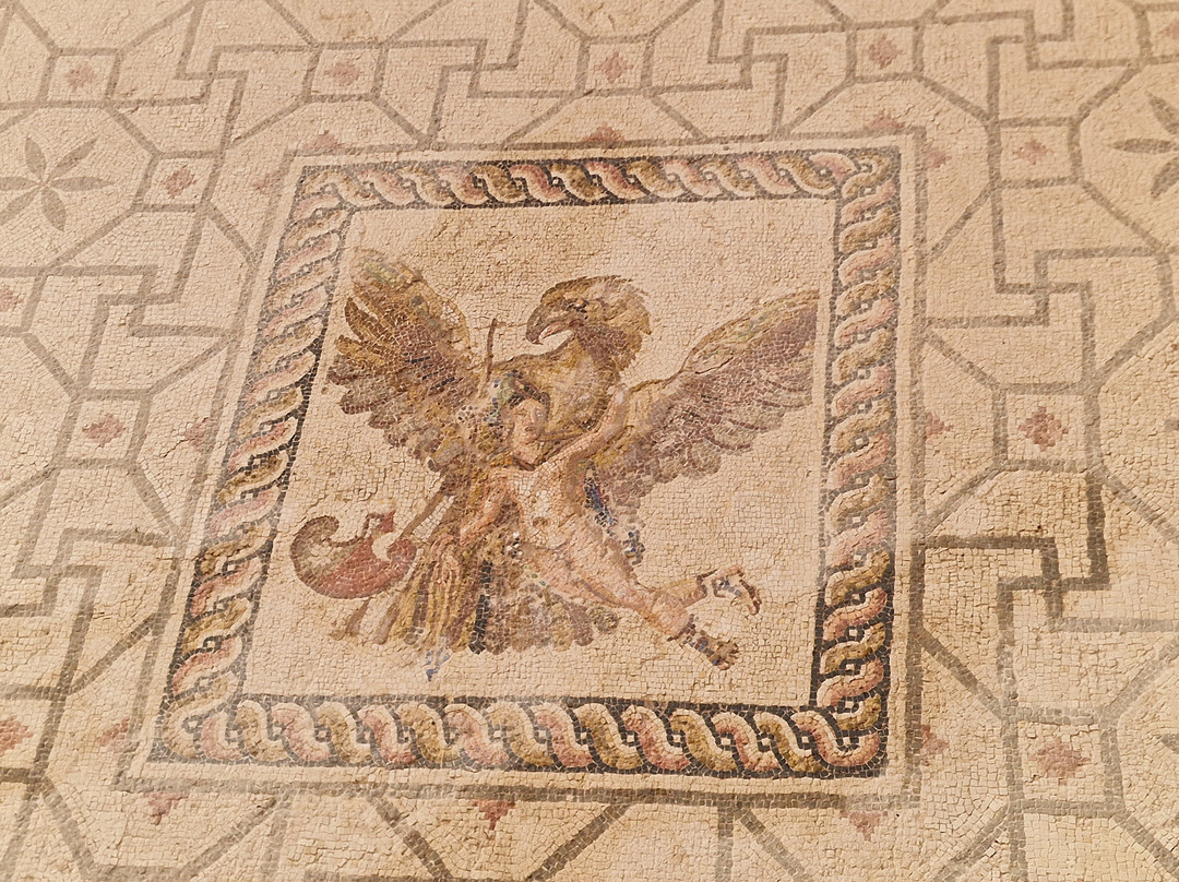 The House Of Dionysus-帕福斯必去景点