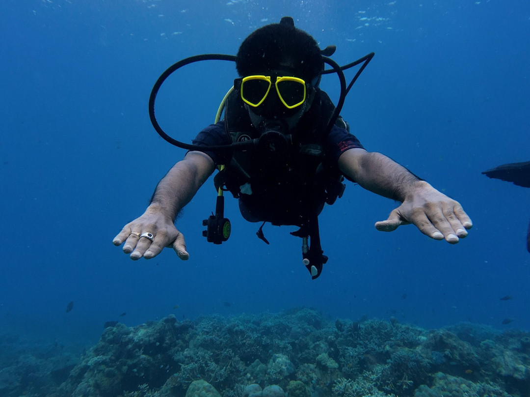 Turquoise Dream-Neil Island必去景点