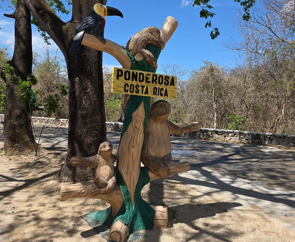 Ponderosa Adventure Park-利比里亚必去景点
