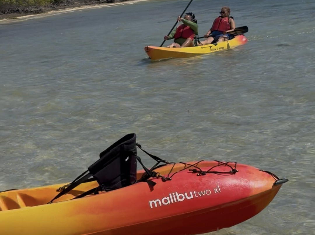 BushTribe Eco Adventures-Christiansted必去景点