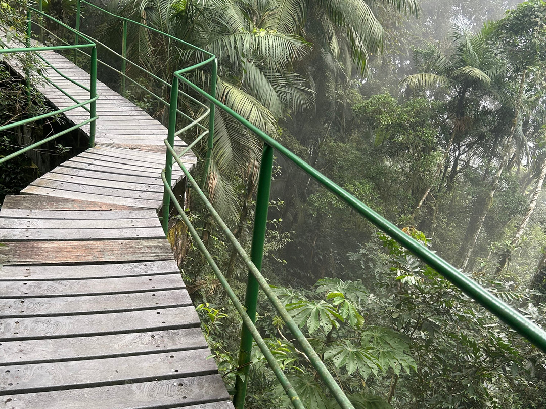 Parque Nacional da Serra dos Órgãos-特雷索波利斯必去景点