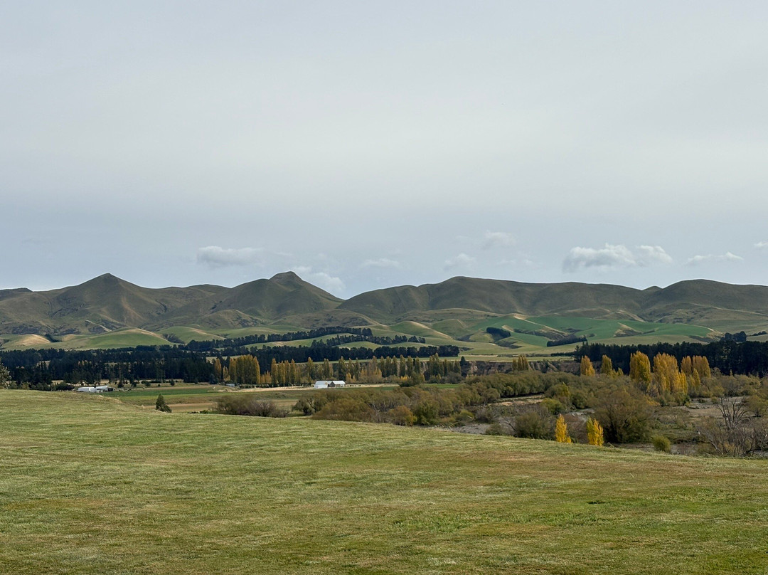 Terrace Edge Vineyard & Olive Grove-Waipara必去景点