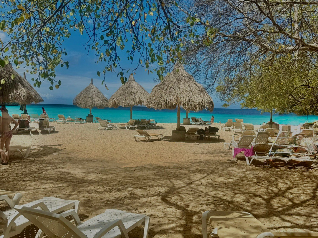 Cas Abao Beach-库拉索必去景点