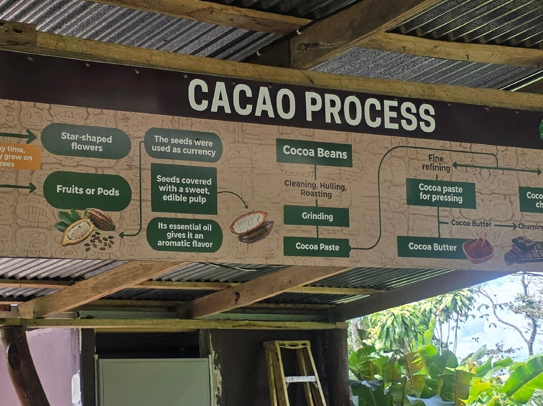 Cafe & Cacao Tour Bijagua-Bijagua de Upala必去景点