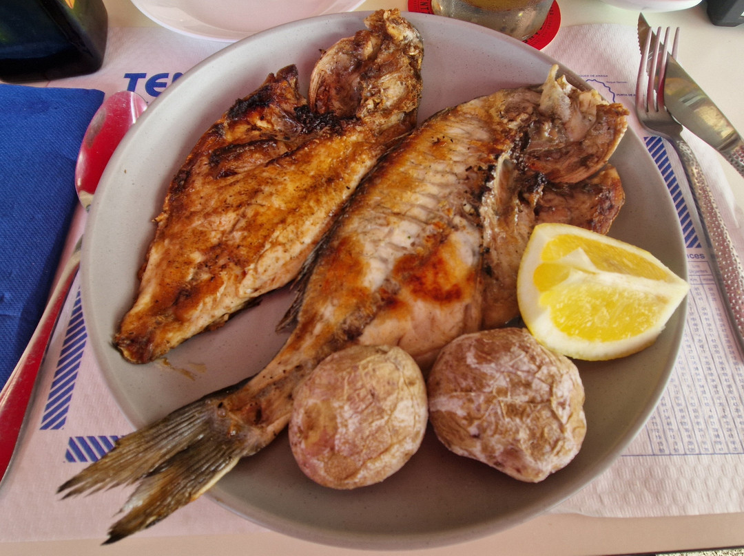 El Cabollito de Mar