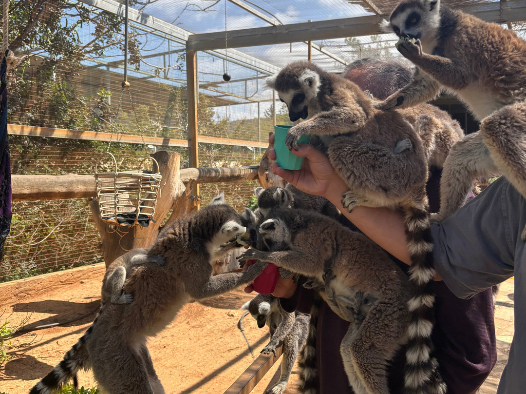 Pafos Zoo-帕福斯必去景点