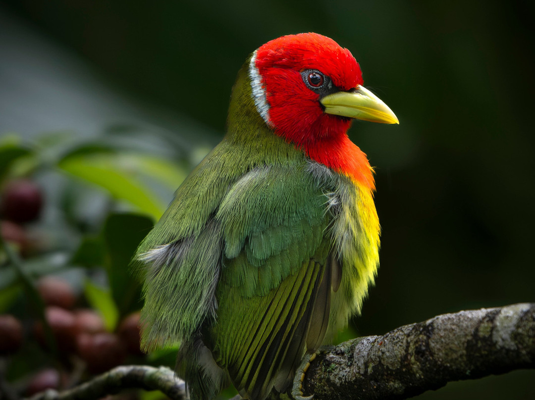 Costa Rica Focus-圣何塞必去景点