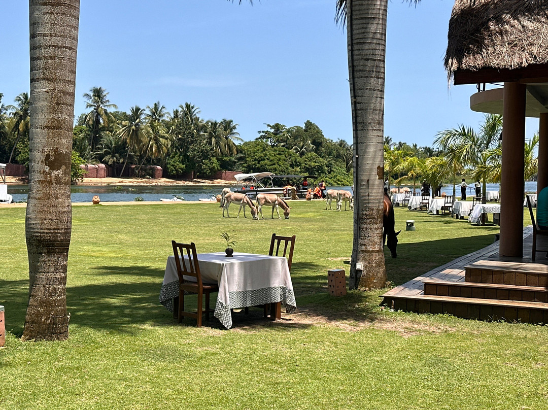 Aqua Safari Resort主图
