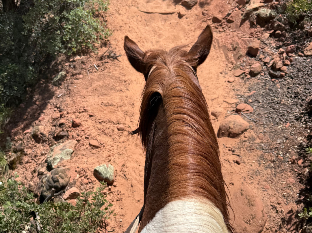 Canyon Trail Rides-锡安国家公园必去景点