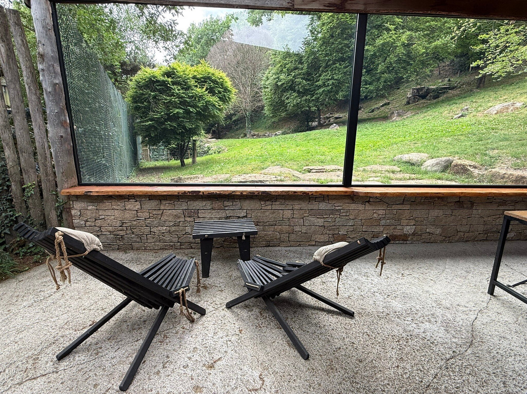 Parc Animalier Des Pyrénées-Ayzac-Ost必去景点