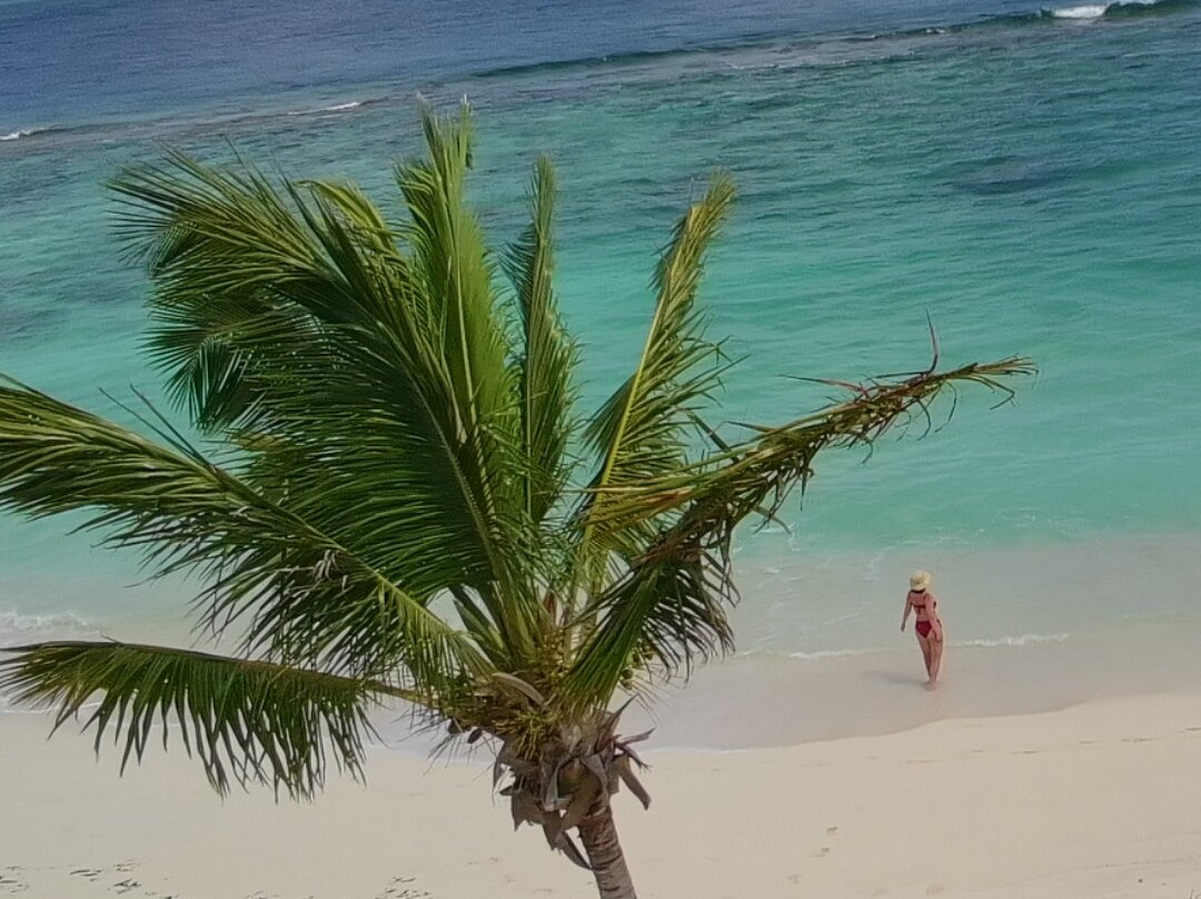 Shoal Bay-Shoal Bay Village必去景点