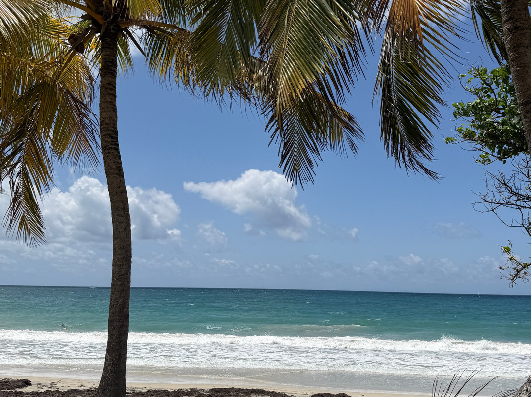 BUGGY Quad Martinique-Le Diamant必去景点