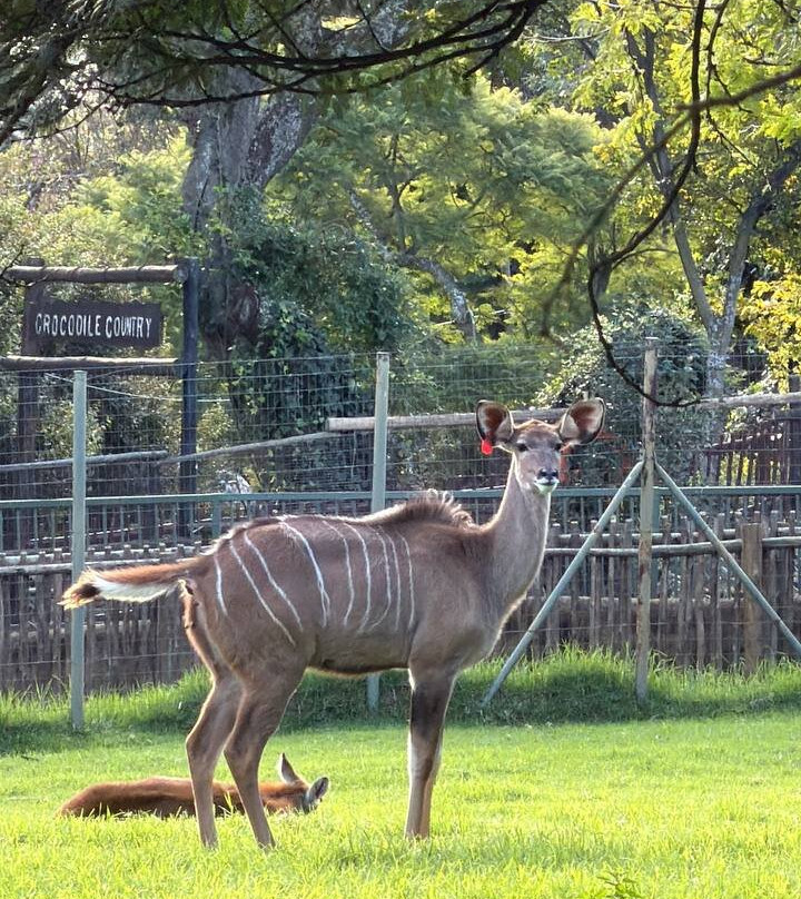 Johannesburg Zoo-约翰内斯堡必去景点
