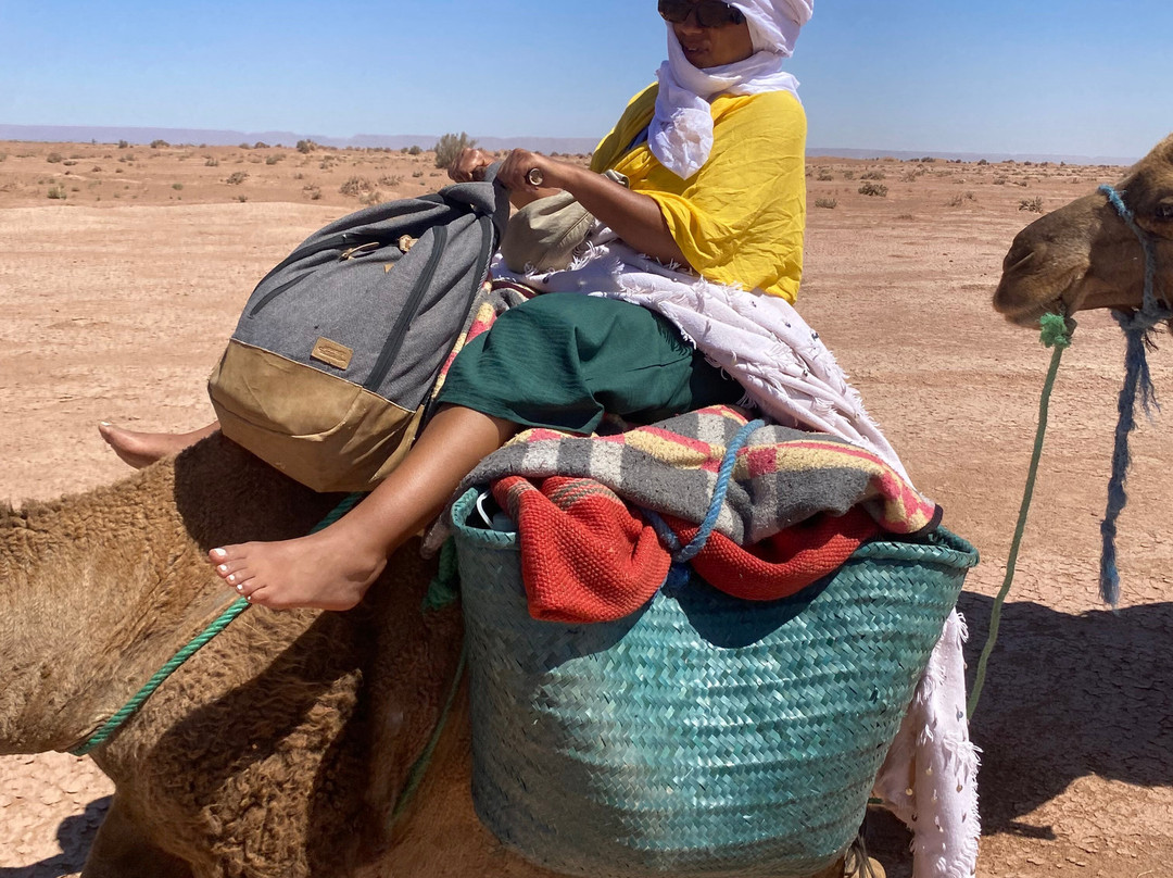 Desert Maroc Tours - Day Tours-扎古拉必去景点