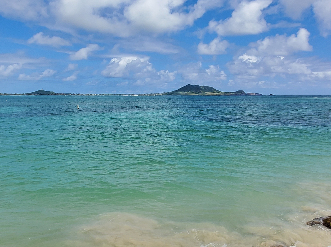 拉尼凯海滩-科纳必去景点
