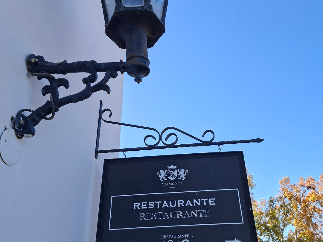 Viamonte Winery-路冉得库约必去景点