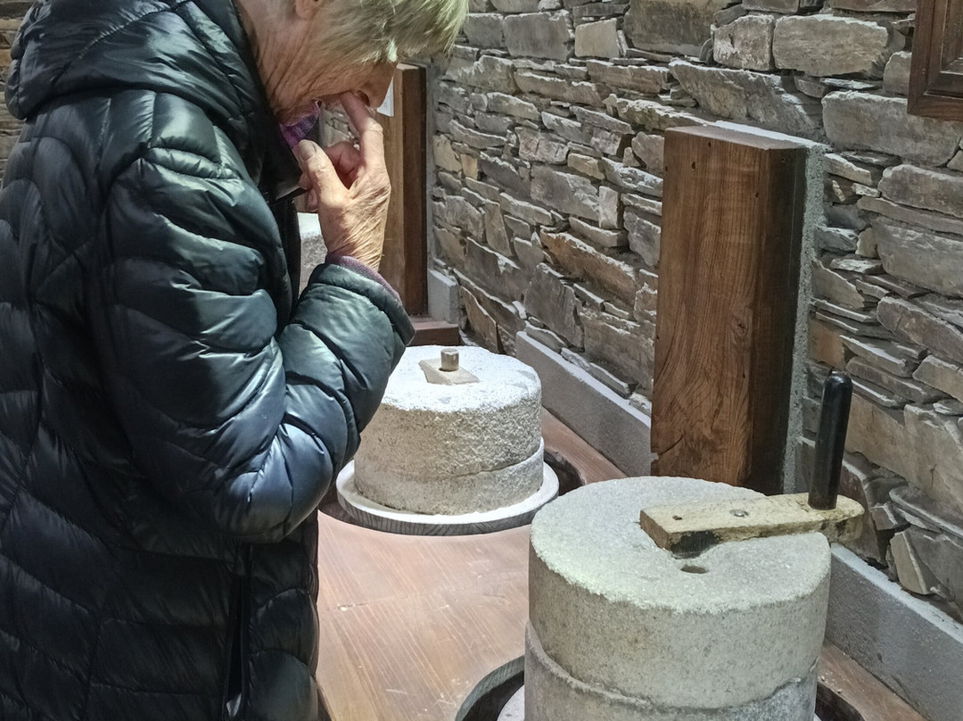 Museo Molinos Mazonovo-Taramundi必去景点