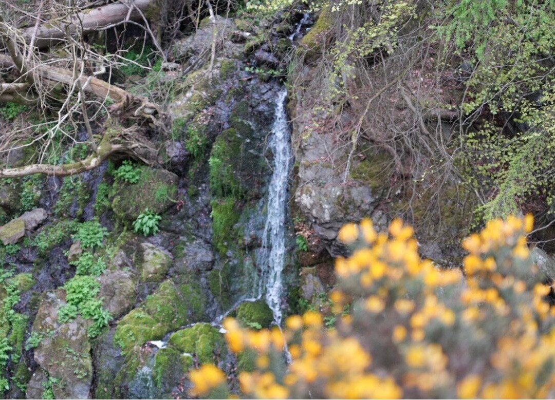 Tweed Valley Blogger | TVB Tours-Innerleithen必去景点