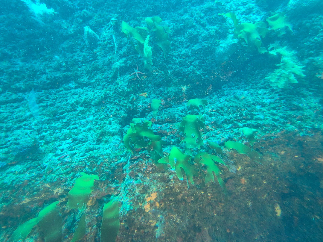 Submarine Tour - Udo Submarine-济州必去景点