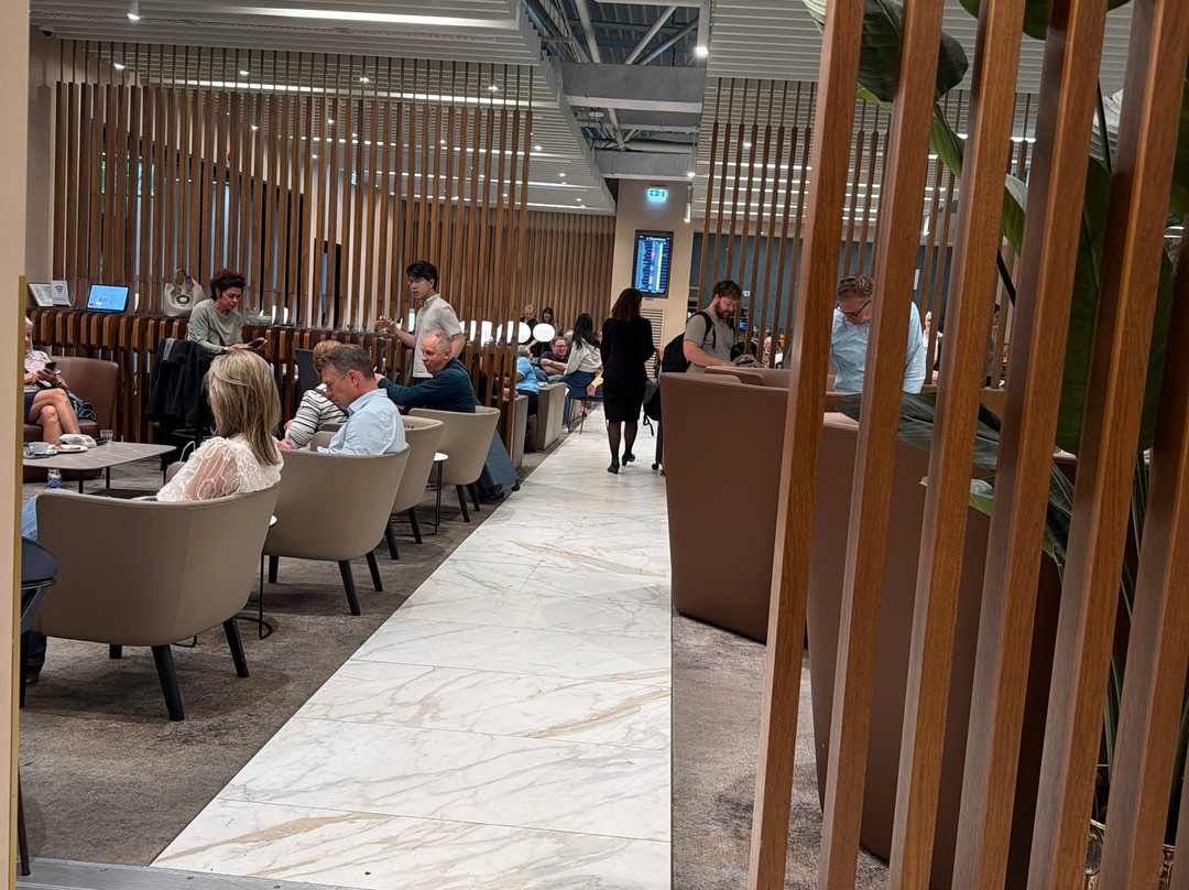Plaza Premium Lounge (Schengen Area Departures Terminal 1)-菲乌米奇诺必去景点