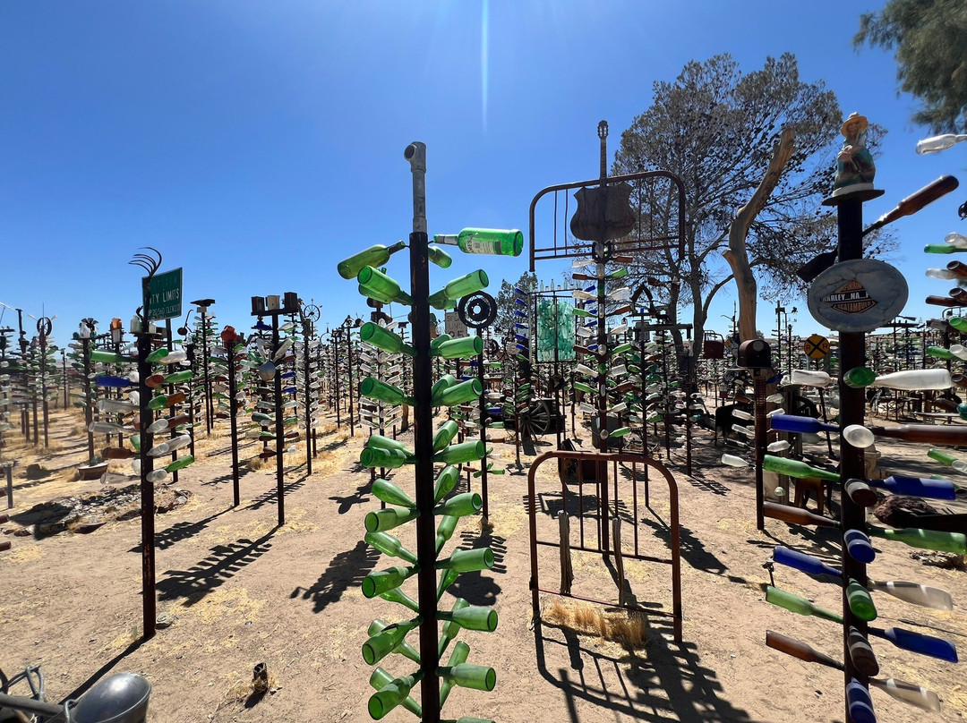 Elmer Long's Bottle Tree Ranch-Oro Grande必去景点
