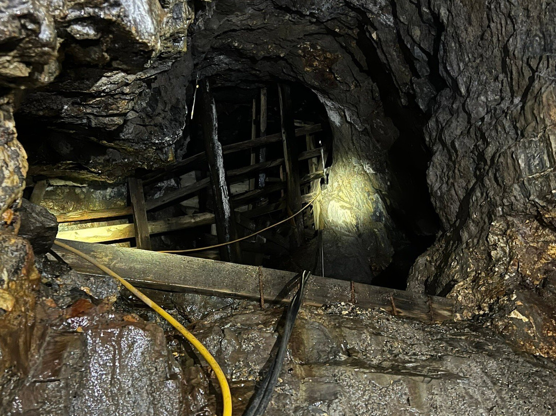 Dolaucothi Gold Mines-Llanwrda必去景点