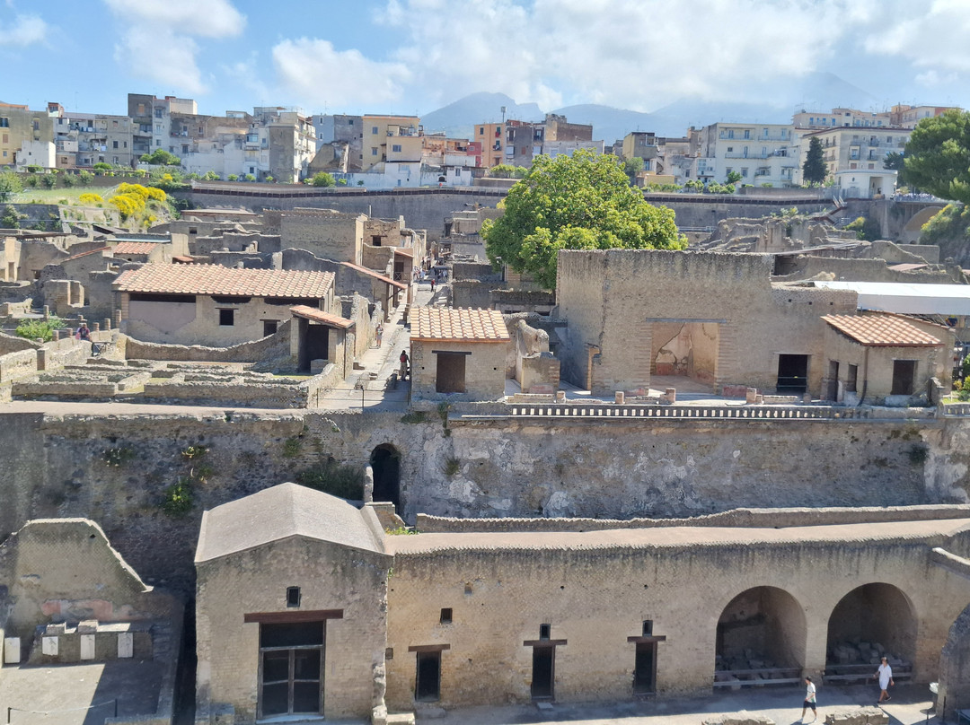 Archeological Park of Herculaneum-埃尔科拉诺必去景点