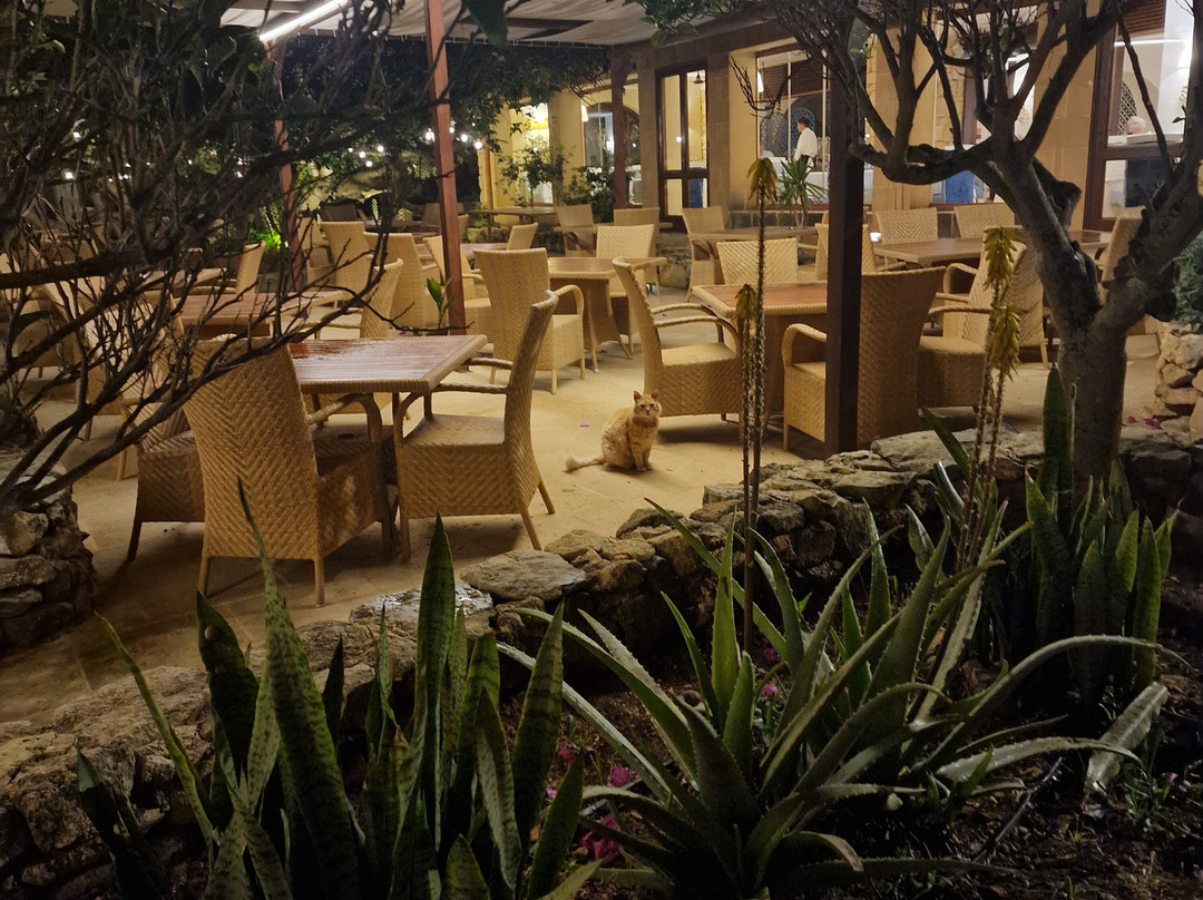 塔中心水疗酒店主图