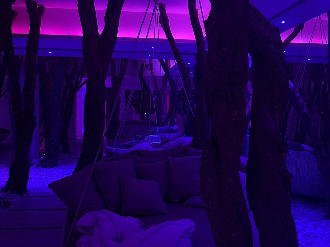 维多利亚宫殿酒店及禅养生主图