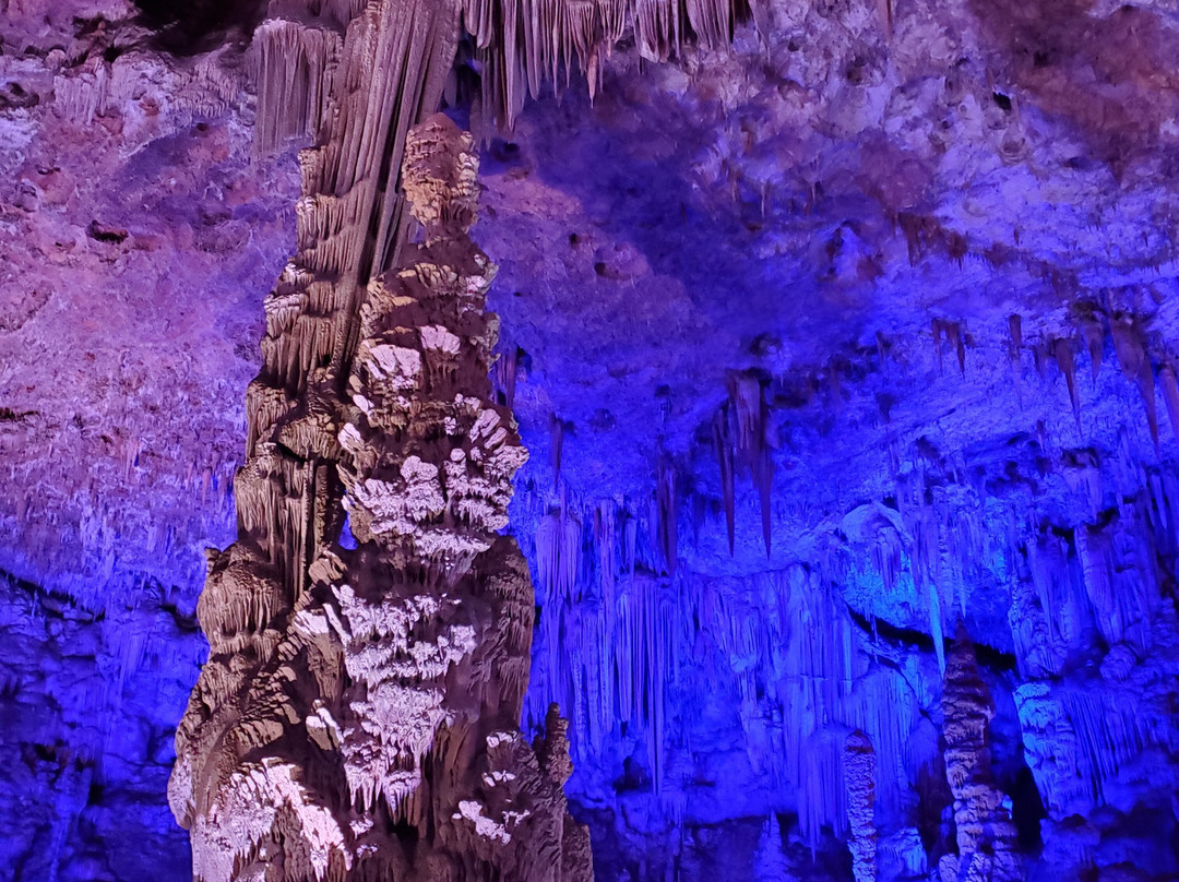 Grotte de la Salamandre-Mejannes-le-Clap必去景点
