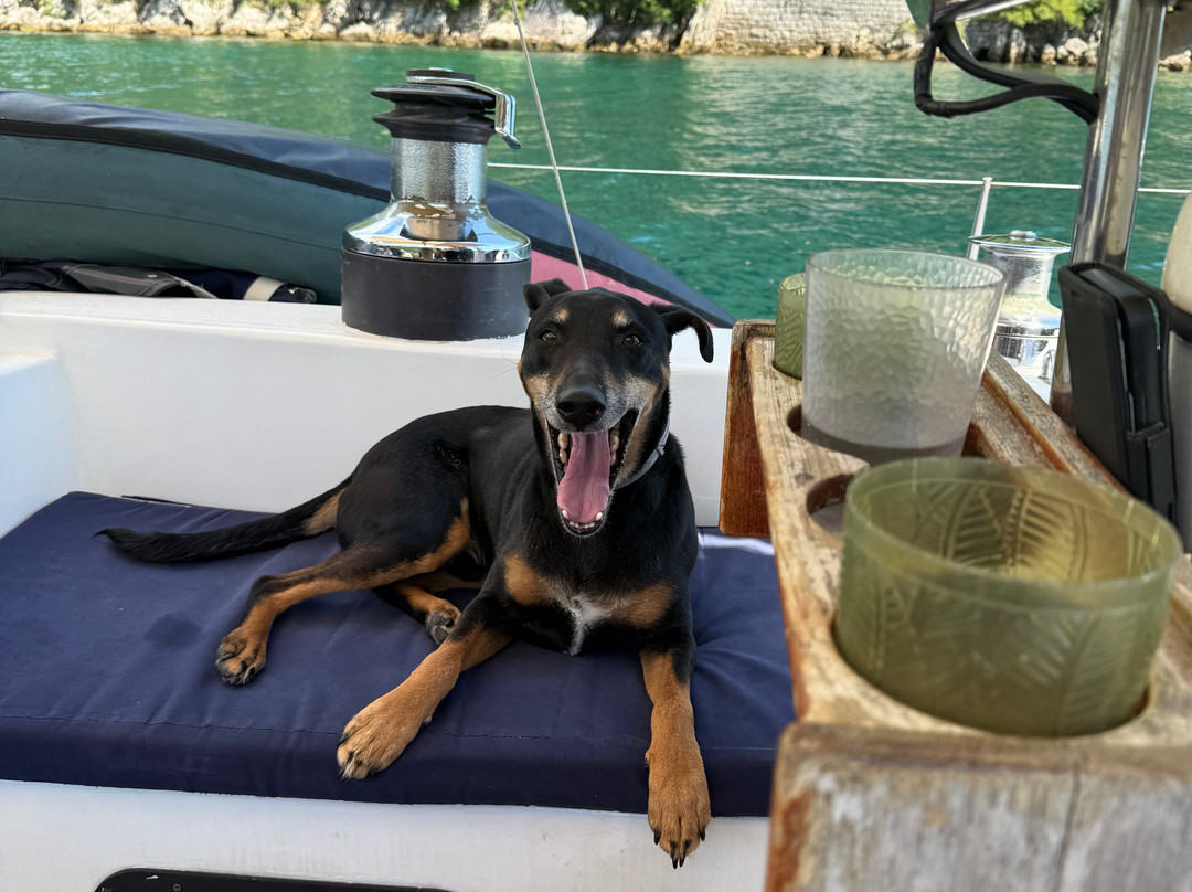 A Day Out On Yacht Monty B-科托尔必去景点