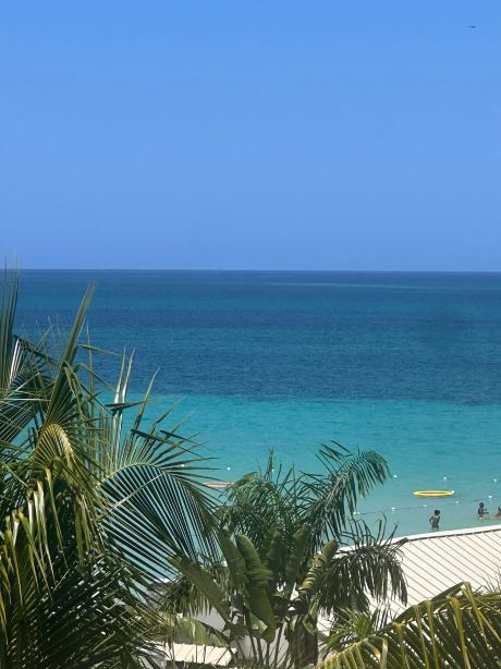Skylark Negril Beach Resort-旅行者