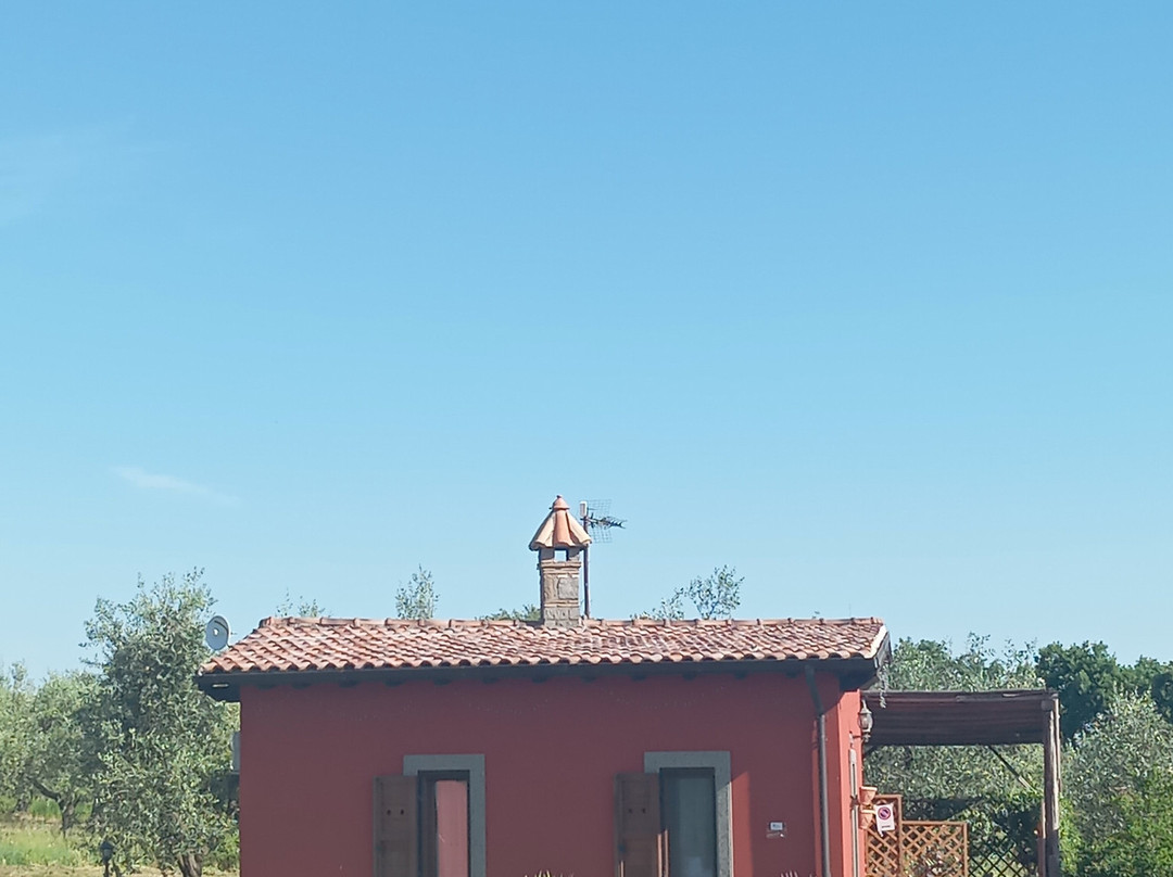 Agriturismo Poggio Degli Ulivi主图