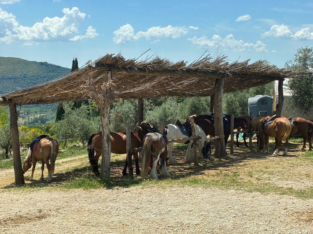 Sulla Collina di Castelnuovo di Farfa-Castelnuovo di Farfa必去景点