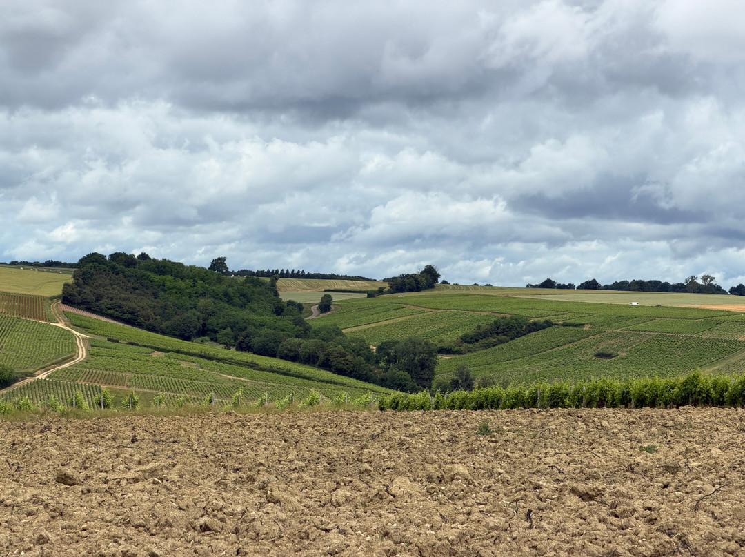 Domaine Philippe Raimbault-Sury-en-Vaux必去景点