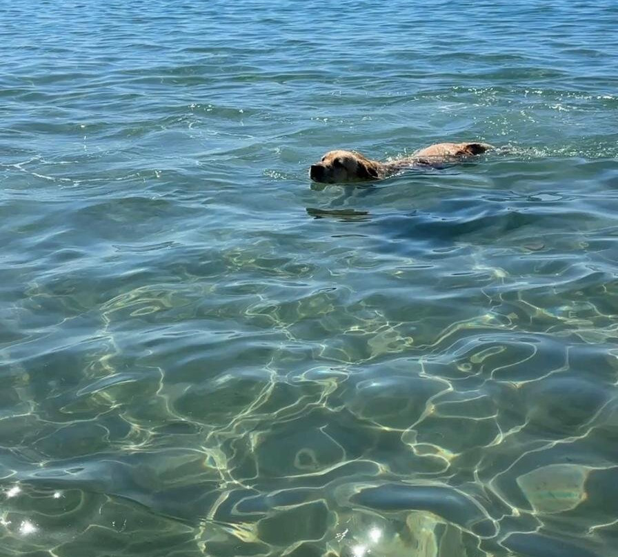 Spiaggia Perelli 1-皮翁比诺必去景点