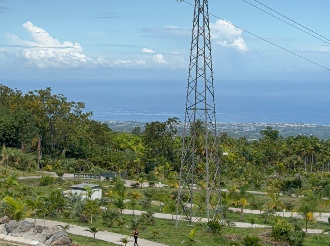 Parc des Palmiers-Le Tampon必去景点