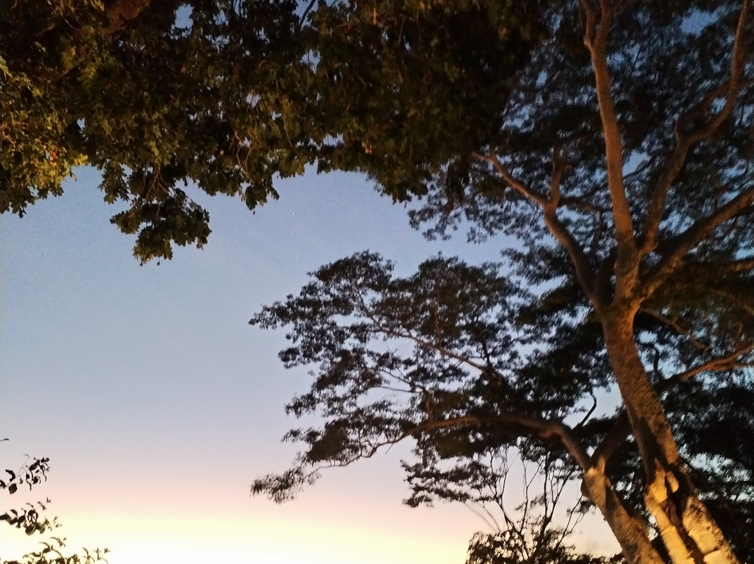 Recanto Do Araguaia主图