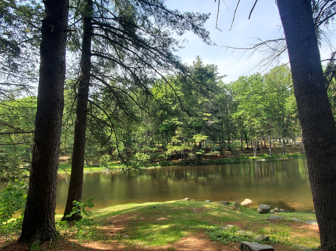 Willard Brook State Forest-Ashby必去景点