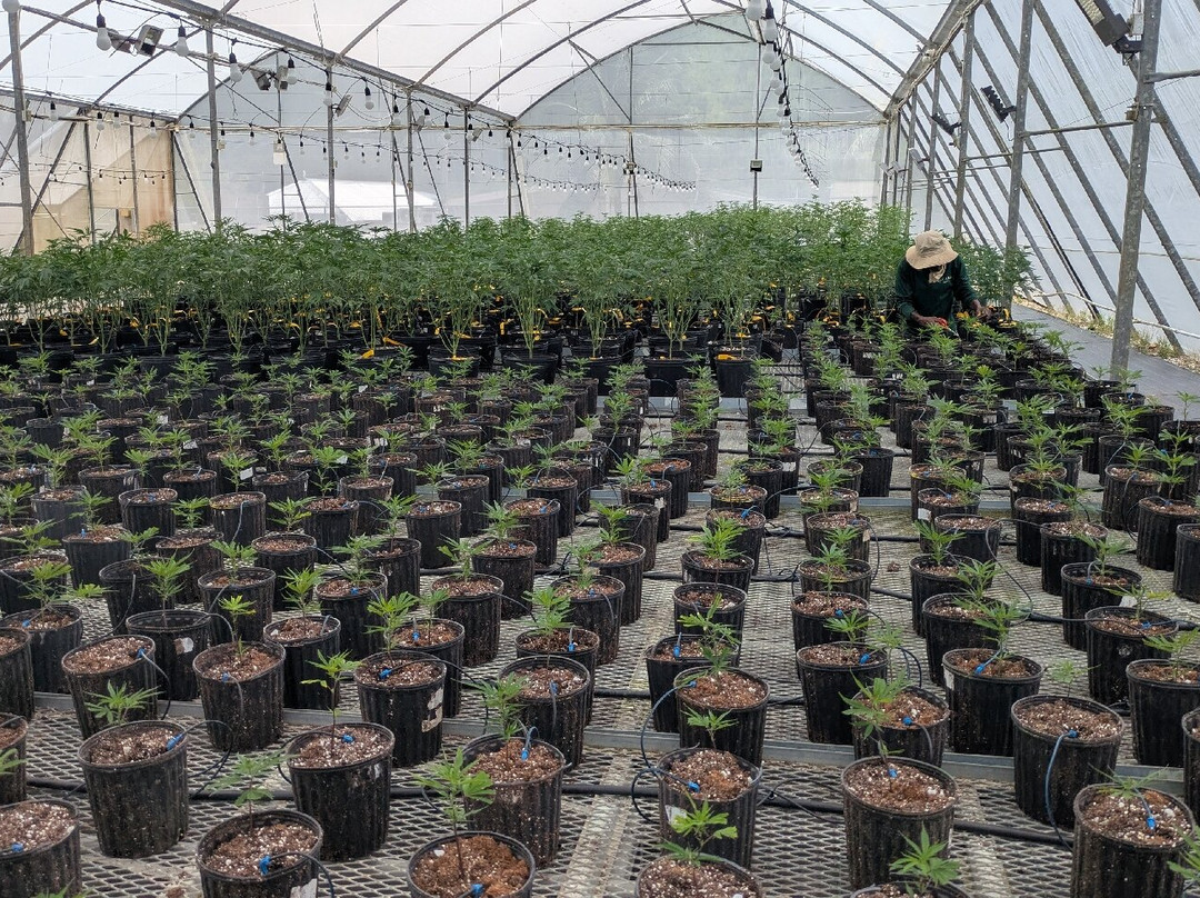 Jacana Farm Tours-奥乔里奥斯必去景点