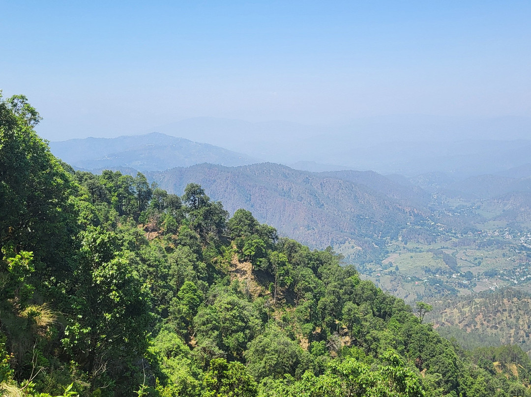 Nine Furlongs, Binsar Wildlife Sanctuary主图