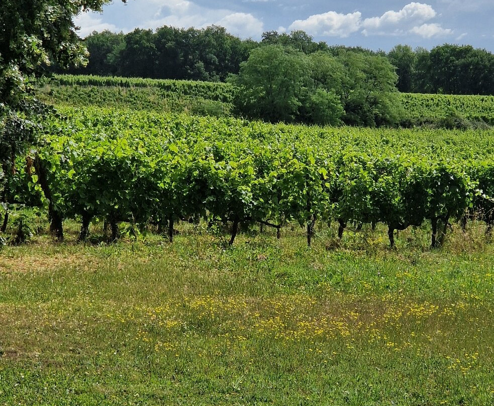 Château le Noble-Saint-Germain-Du-Puch必去景点