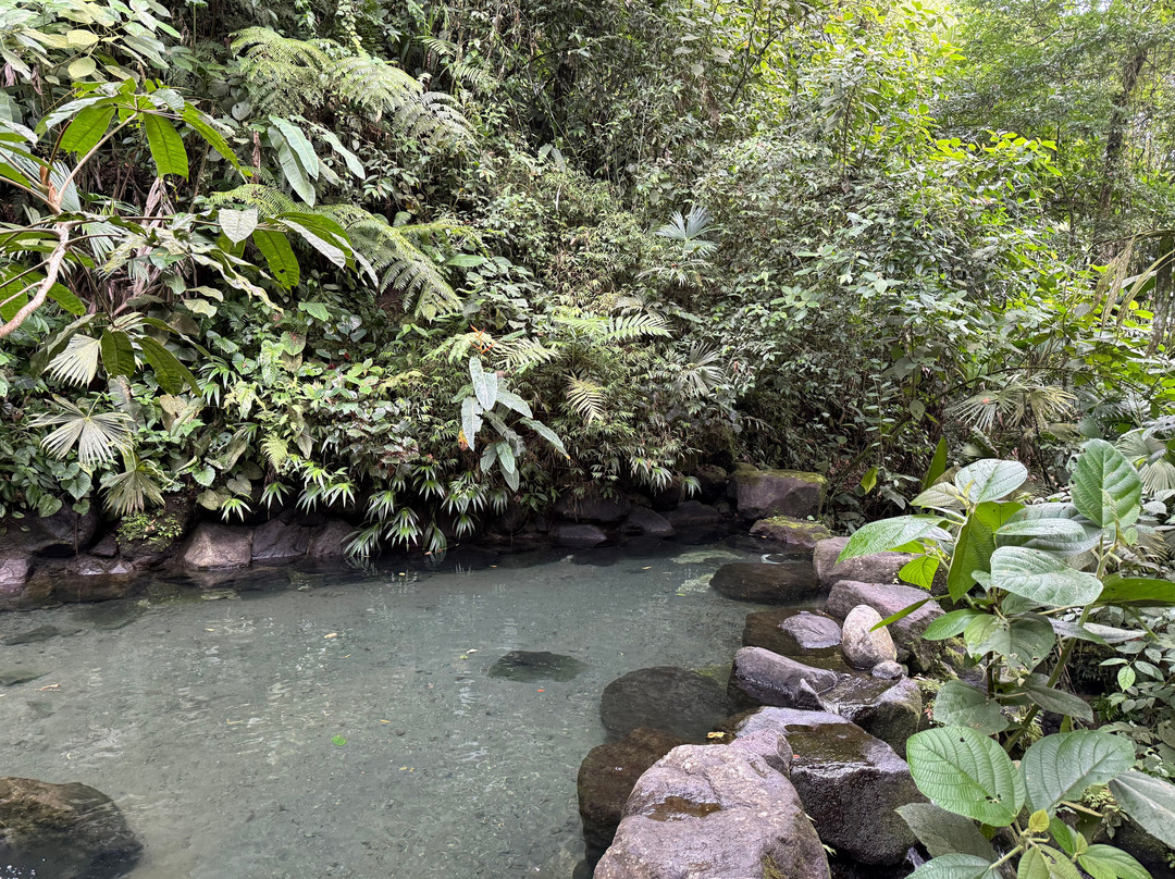 Kurú Natural Springs