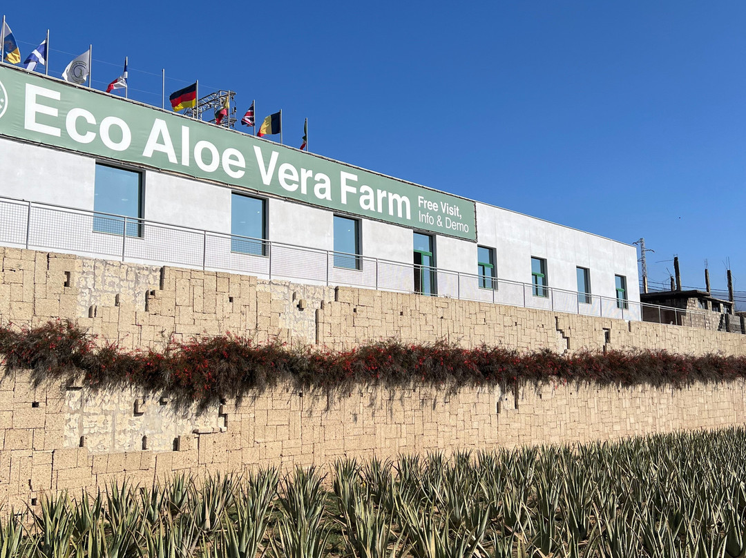 Finca Canarias Aloe Vera-Guimar必去景点